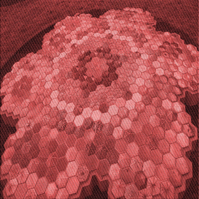 Round Patterned Red Rug, pat2055rd