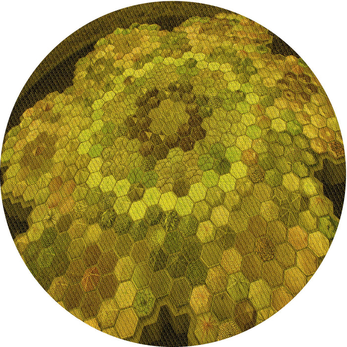 Square Machine Washable Transitional Dark Bronze Brown Rug in a Living Room, wshpat2055yw