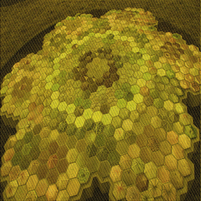 Round Machine Washable Transitional Dark Bronze Brown Rug, wshpat2055yw