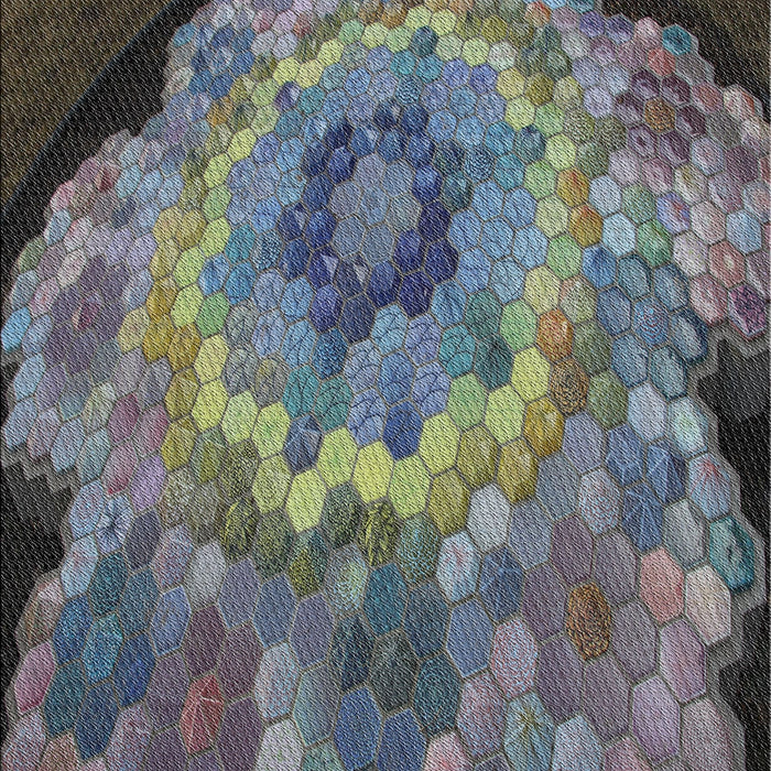 Machine Washable Transitional Gunmetal Gray Rug, wshpat2055