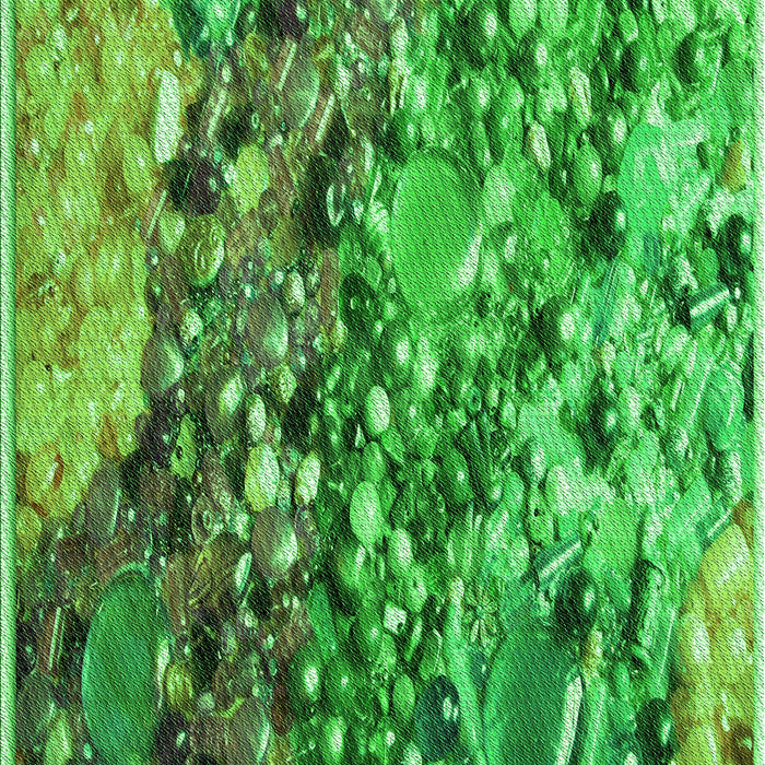 Machine Washable Transitional Forest Green Rug, wshpat2056grn