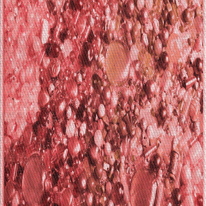 Patterned Red Rug, pat2056rd