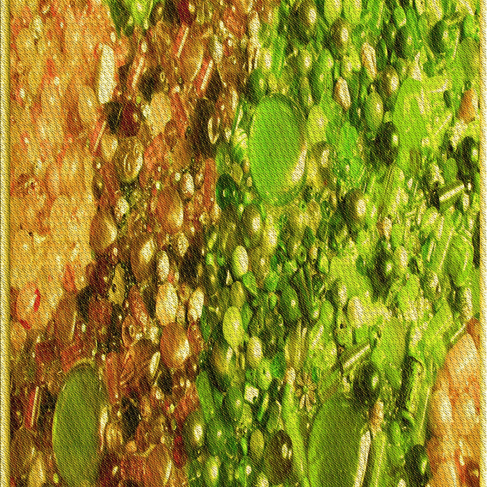 Machine Washable Transitional Dark Bronze Brown Rug, wshpat2056yw