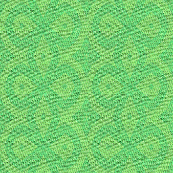 Machine Washable Transitional Neon Green Rug, wshpat2064grn