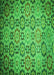 Patterned Green Rug, pat2065grn