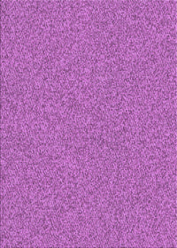 Machine Washable Transitional Purple Rug, wshpat2067pur