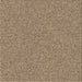 Sideview of Machine Washable Transitional Red Brown Rug, wshpat2067