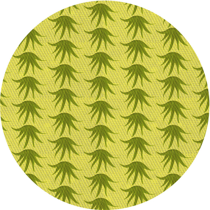 Square Machine Washable Transitional Pistachio Green Rug in a Living Room, wshpat207yw