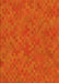 Machine Washable Transitional Orange Red Orange Rug, wshpat2072yw