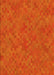 Patterned Orange Red Orange Rug, pat2072yw