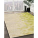 Machine Washable Transitional Metallic Gold Rug in a Family Room, wshpat2074brn