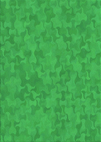 Machine Washable Transitional Lime Green Rug, wshpat2078grn