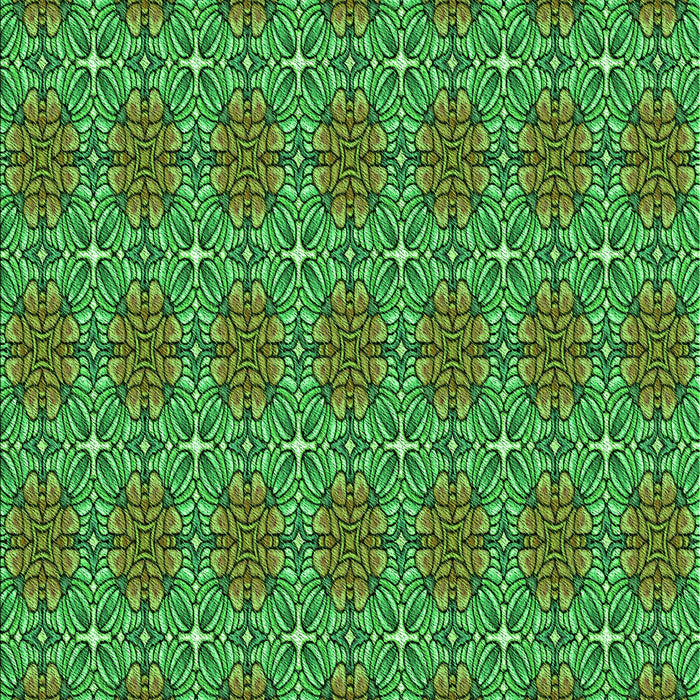 Machine Washable Transitional Lime Green Rug, wshpat2081grn