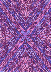 Machine Washable Transitional Dark Magenta Purple Rug, wshpat2085pur