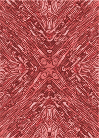 Machine Washable Transitional Red Rug, wshpat2085rd