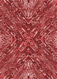 Machine Washable Transitional Red Rug, wshpat2086rd