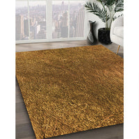 Patterned Orange Rug, pat2088org