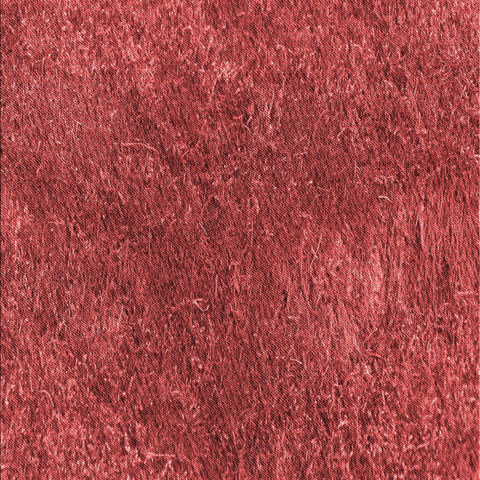Patterned Red Rug, pat2088rd