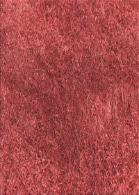 Machine Washable Transitional Red Rug, wshpat2088rd