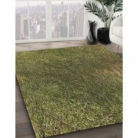 Patterned Copper Green Novelty Rug, pat2088