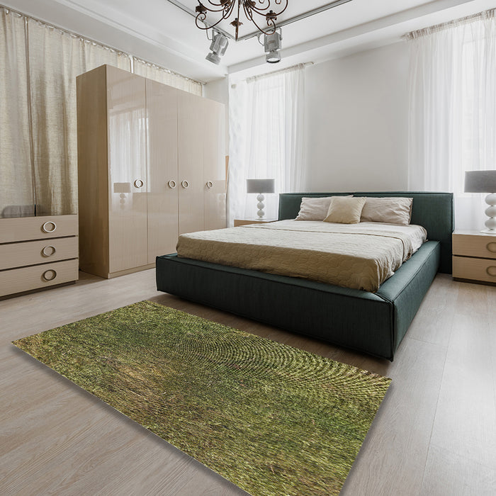 Patterned Copper Green Novelty Rug in a Bedroom, pat2088