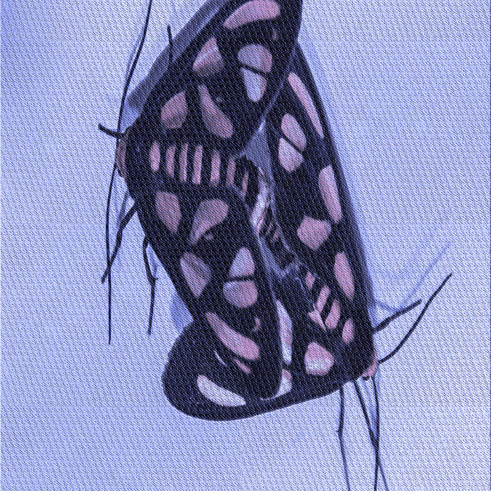 Machine Washable Transitional Slate Blue Rug, wshpat2089blu