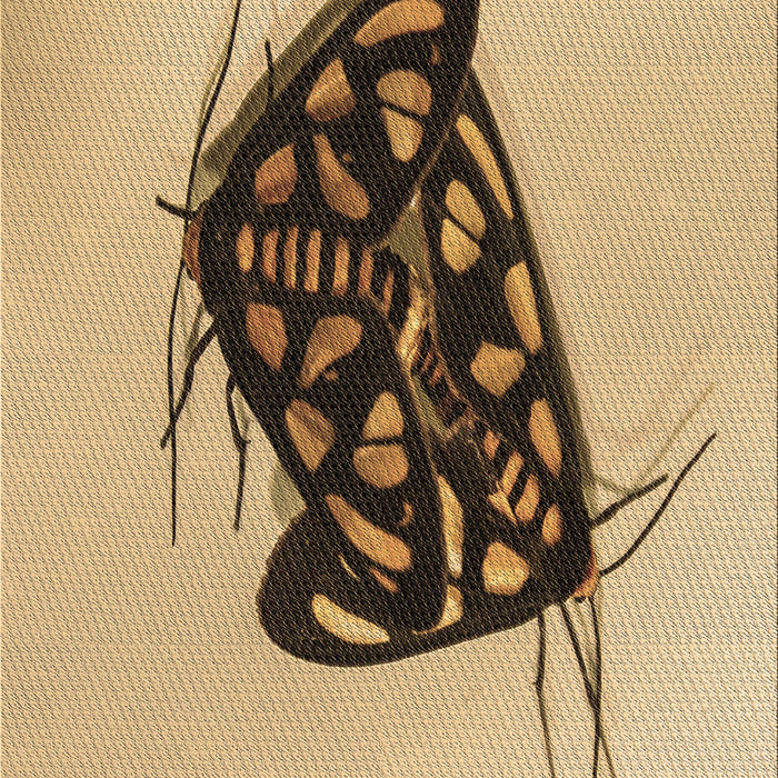 Machine Washable Transitional Light Brown Rug, wshpat2089brn