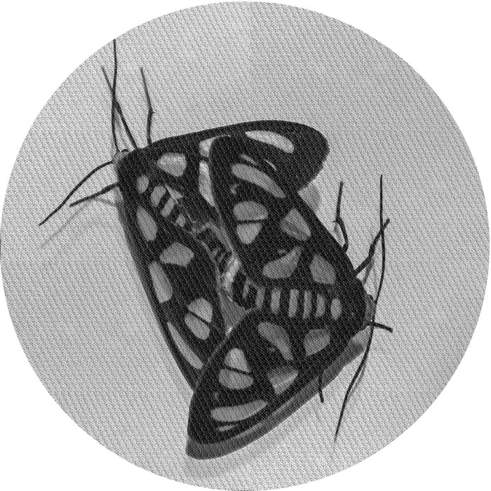 Square Machine Washable Transitional Platinum Silver Gray Rug in a Living Room, wshpat2089gry