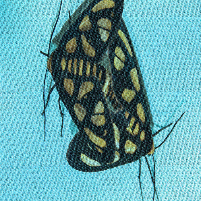 Patterned Deep-Sea Green Rug, pat2089lblu