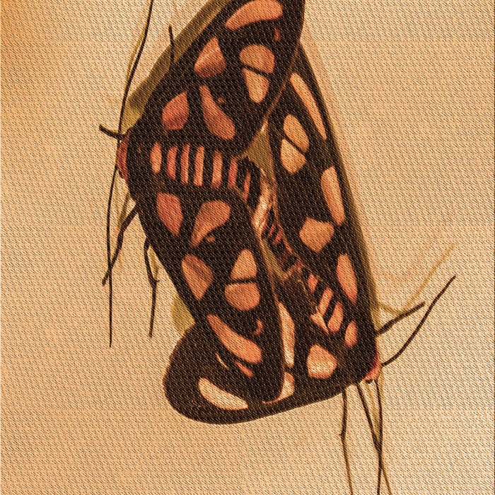 Machine Washable Transitional Yellow Orange Rug, wshpat2089org