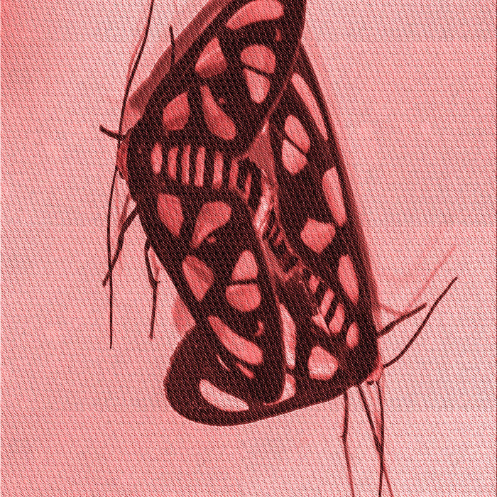 Patterned Red Rug, pat2089rd