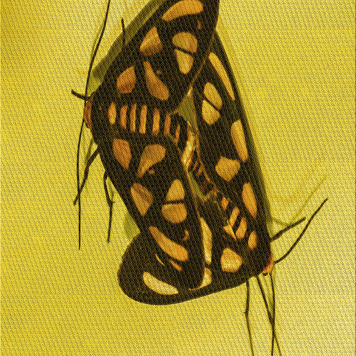 Machine Washable Transitional Golden Yellow Rug, wshpat2089yw