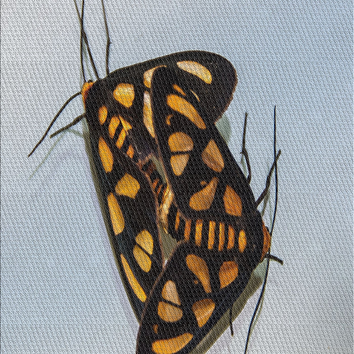 Patterned Carbon Gray Novelty Rug, pat2089