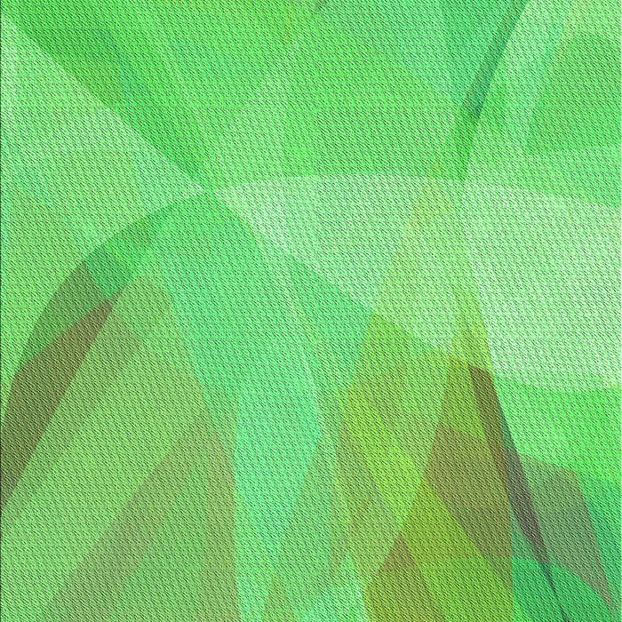 Machine Washable Transitional Neon Green Rug, wshpat2090grn