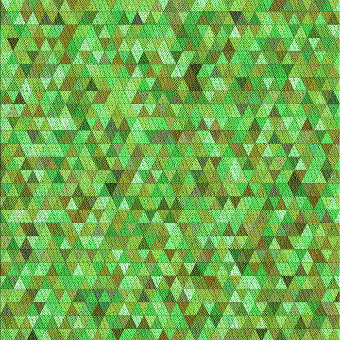 Machine Washable Transitional Dark Lime Green Rug, wshpat2093grn