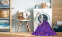 Machine Washable Transitional Jasmine Purple Rug in a Washing Machine, wshpat2095pur