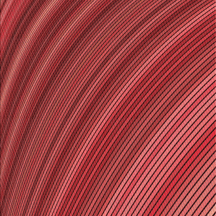 Patterned Red Rug, pat2096rd