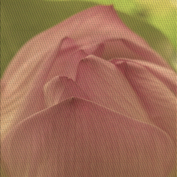 Machine Washable Transitional Chestnut Red Rug, wshpat2099brn