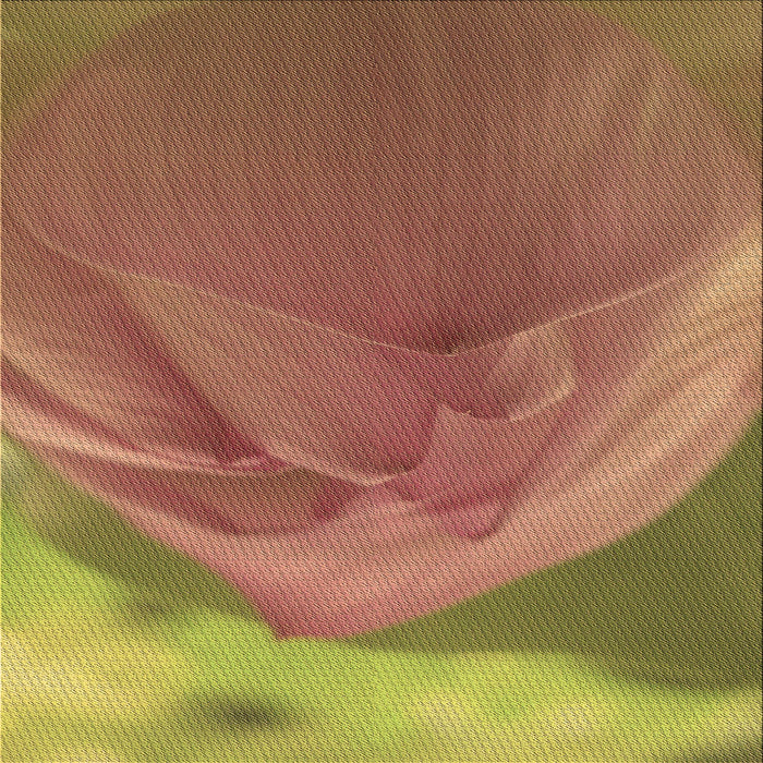 Round Machine Washable Transitional Chestnut Red Rug, wshpat2099brn