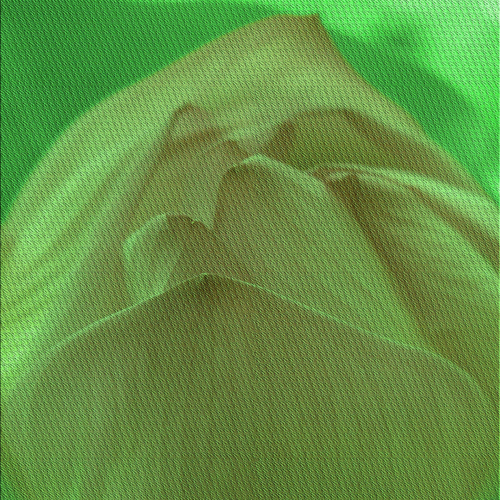 Machine Washable Transitional Seaweed Green Rug, wshpat2099grn