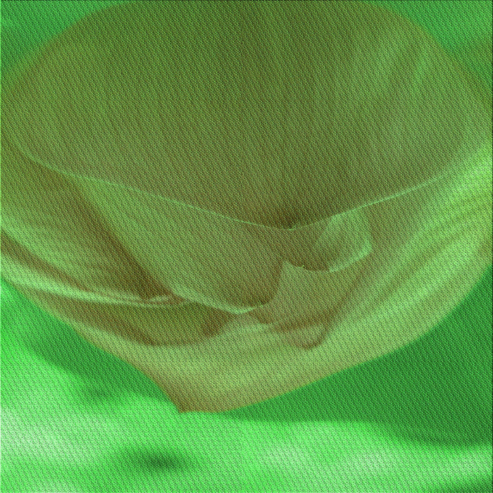 Round Machine Washable Transitional Seaweed Green Rug, wshpat2099grn