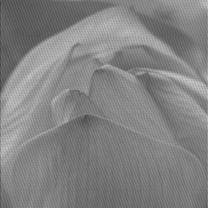 Machine Washable Transitional Ash Gray Rug, wshpat2099gry