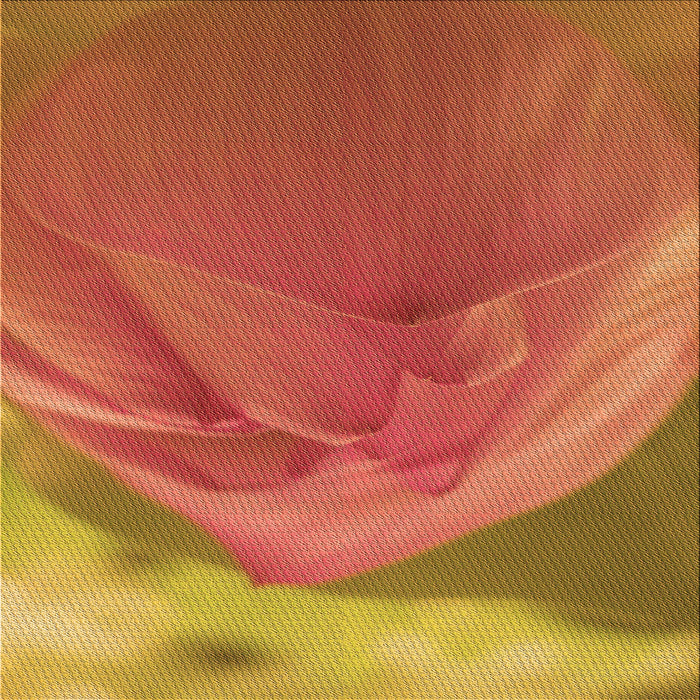 Round Patterned Orange Rug, pat2099org