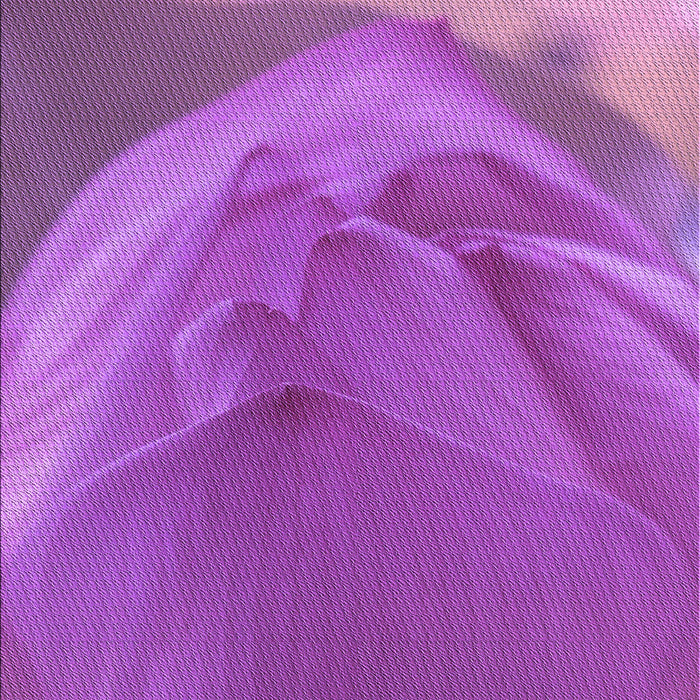 Patterned Crimson Purple Rug, pat2099pur