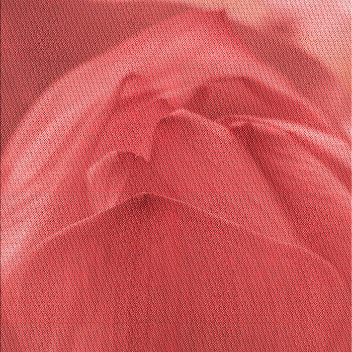 Patterned Red Rug, pat2099rd