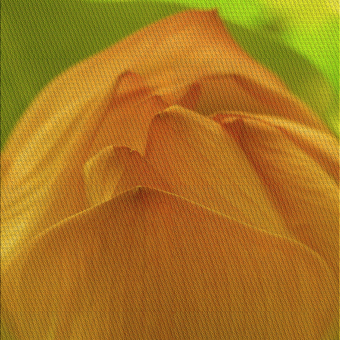 Machine Washable Transitional Mahogany Brown Rug, wshpat2099yw