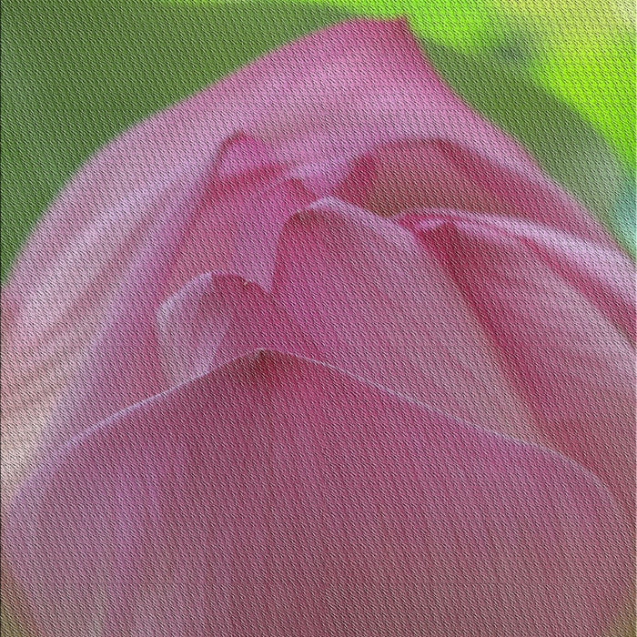 Patterned Pink Novelty Rug, pat2099