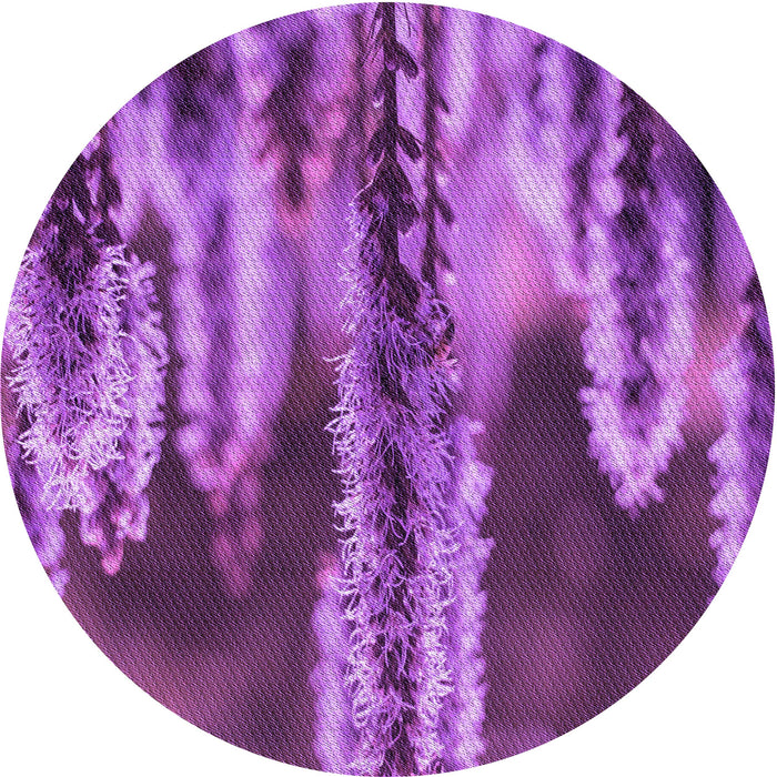 Square Machine Washable Transitional Dark Magenta Purple Rug in a Living Room, wshpat2100pur