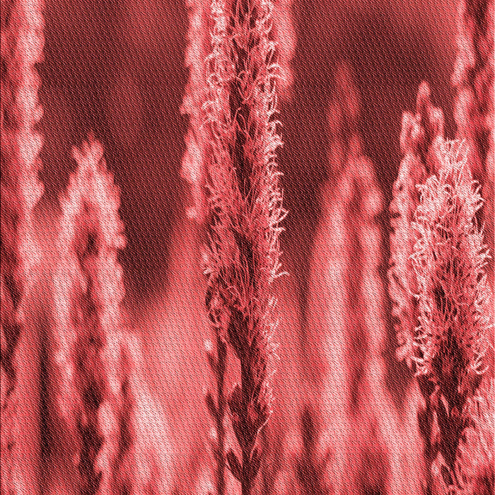 Patterned Red Rug, pat2100rd