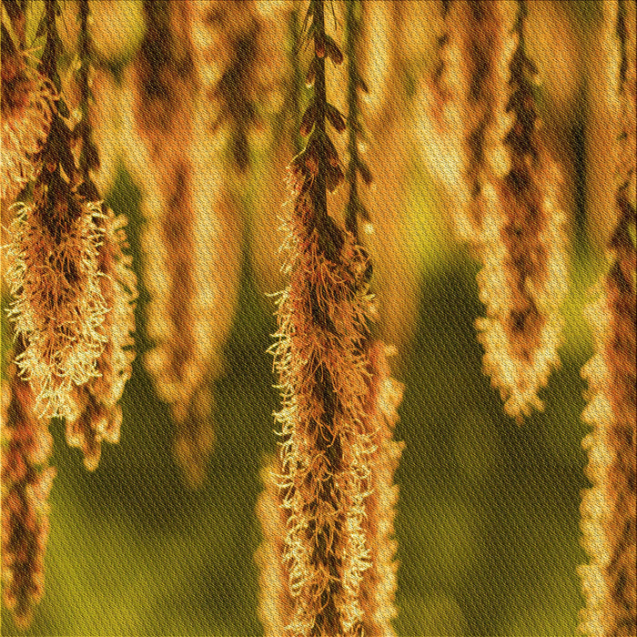 Round Machine Washable Transitional Saddle Brown Rug, wshpat2100yw